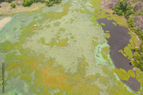 Aerial drone of Lakes and swamps in the national park of Sri Lanka.