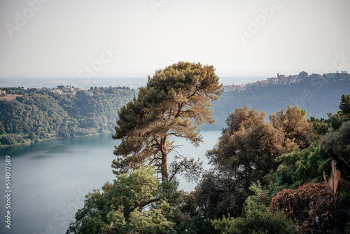 Panoramic view from the hill overlooking the stone pine trees and the volcanik Nemi lake in Italy