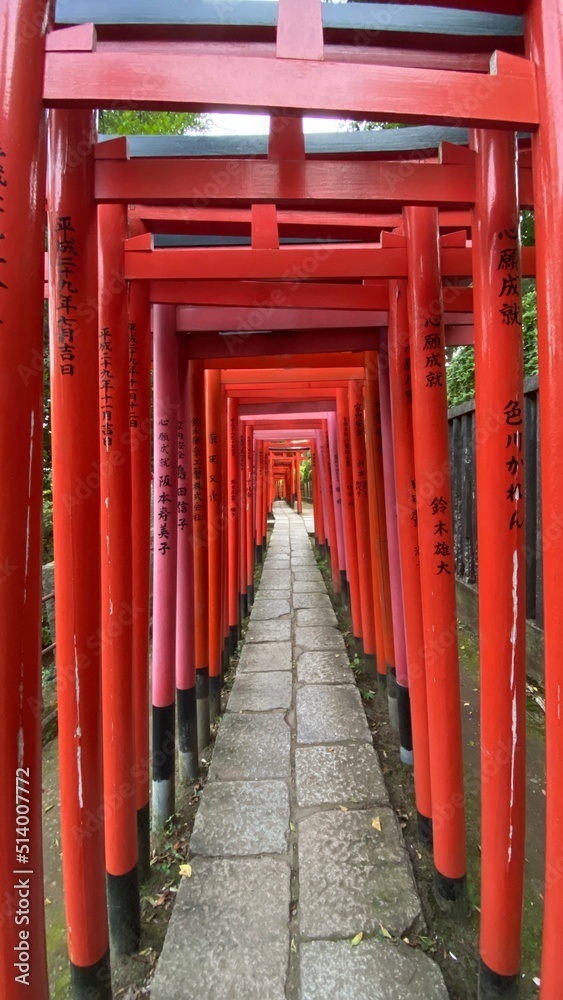 Mesmerizing passage of Japanese thousand “Tori” gates in beautiful scarlet hue aligned to form corridor of holy wisdom. Year 2022 June 29th, “Nezu Jinjya” built by 5th Shogunate of Edo period Tokugawa