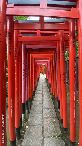 Mesmerizing passage of Japanese thousand    Tori    gates in beautiful scarlet hue aligned to form corridor of holy wisdom. Year 2022 June 29th     Nezu Jinjya    built by 5th Shogunate of Edo period Tokugawa