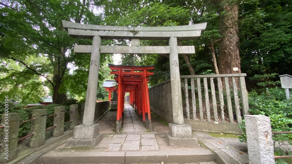 Entrance Tori gate to the thousand tori, historic property of Tokugawa Shogunate in the Edo era, the passage goes long down to the main garden of the shrine. Year 2022 June 29th Entrance Tori gate to the thousand tori, historic property of Tokugawa Shogunate in the Edo era, the passage goes long down to the main garden of the shrine. Year 2022 June 29th