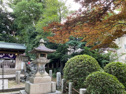  Zen scenery at the shrine of Japan, “Nezu Jinjya”, year 2022 June 29th downtown Tokyo Japan