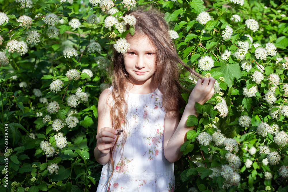 a six-year-old girl with long hair in a flowering shrub a six-year-old girl with long hair in a flowering shrub