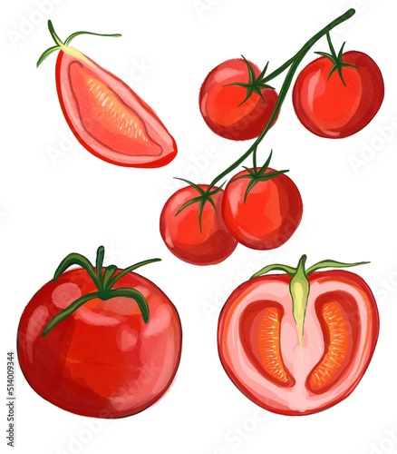 Watercolor tomato collection. Half of red tomato isolated on white. Branch of fresh tomato with leaves.