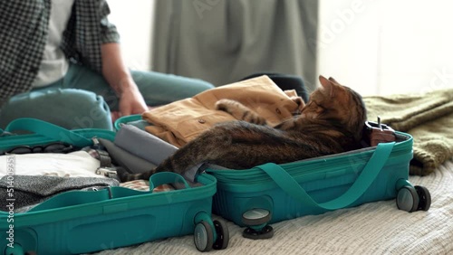 Traveler caucasian man hands petting cat and putting clothes and tablet in packing suitcase. planning for the summer holiday during coronavirus pandemic. Packing bag concept. 4k footage