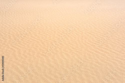 wind ripples on the sandy surface in the desert