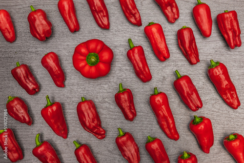 Rote Paprika auf grauem Hintergrund direkt von oben fotografiert