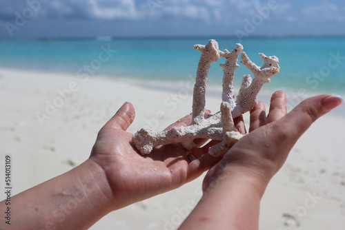 coral in hands mathiveri maldives