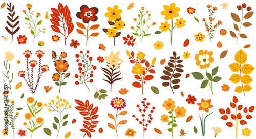 autumn leaves and flowers set in flat design, isolated vector