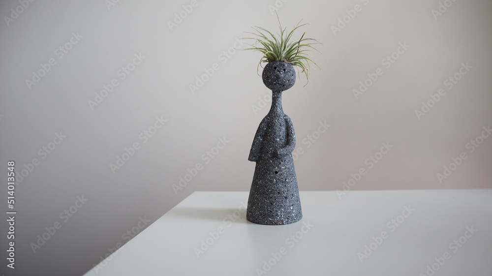 air plant