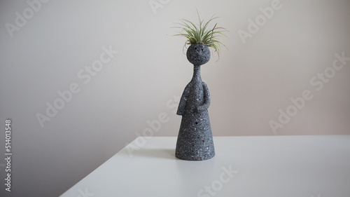 Obraz na płótnie air plant w salonie