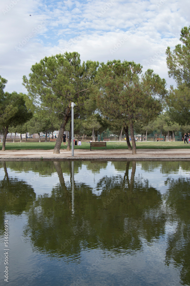 two trees and a bench are reflected in a pond in the linear park of Manzanares in Madrid. Spain two trees and a bench are reflected in a pond in the linear park of Manzanares in Madrid. Spain