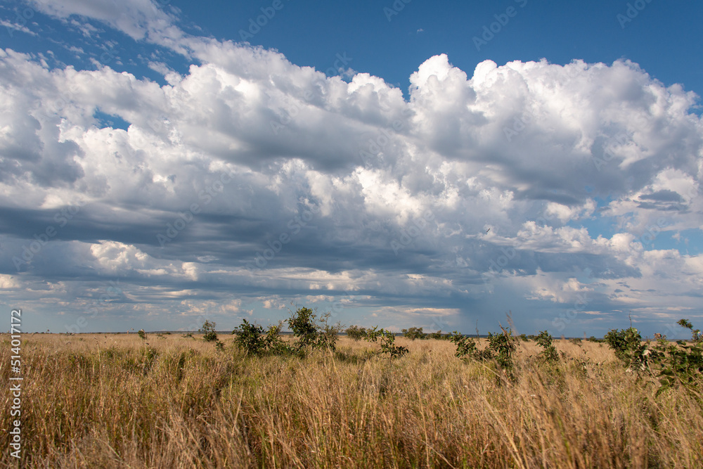 Orage, Nuages, Savane, Parc national Kruger, Afrique du Sud