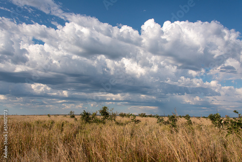 Orage, Nuages, Savane, Parc national Kruger, Afrique du Sud © JAG IMAGES