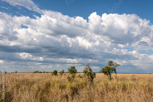 Orage  Nuages  Savane  Parc national Kruger  Afrique du Sud