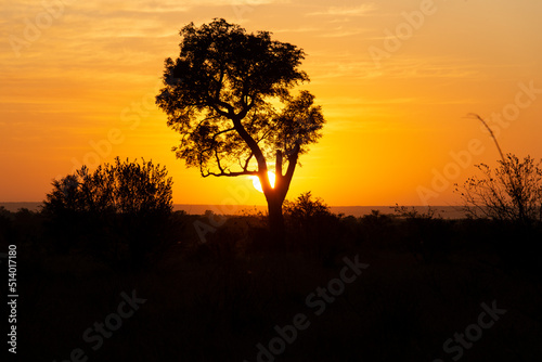 Lever du jour, lever du soleil, Parc national Kruger, Afrique du Sud © JAG IMAGES