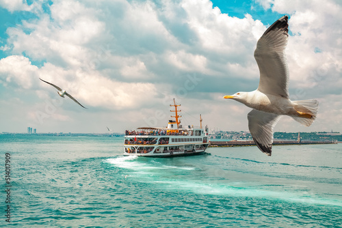 Seagulls flying in front of passenger ferry | Vapur sailing in the bosporus in a cloudy day in Istanbul.  Popular  old transportation vehicle in Istanbul. Blurry cityscape at the distance. photo