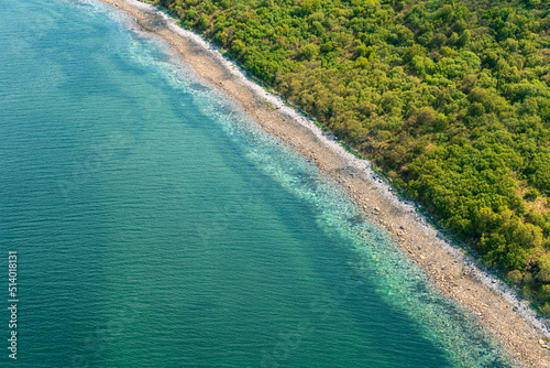 Ocean meets Forest