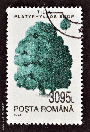 Cancelled postage stamp printed by Romania, that shows Large Leaved Lime (Tilia platyphyllos), circa 1994. photo