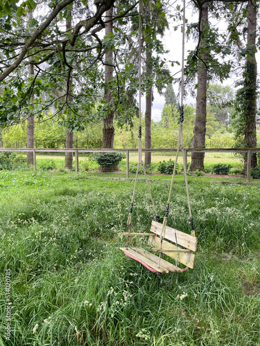 garden setting with a wooden swing hanging from a tree