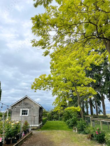 wooden building with a row of trees and a grass path