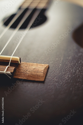 close up of ukulele