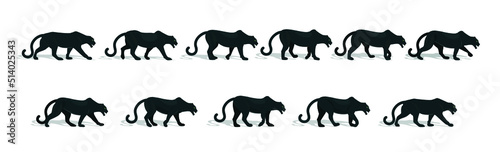 Beautiful black panther, full gait animation cycle.