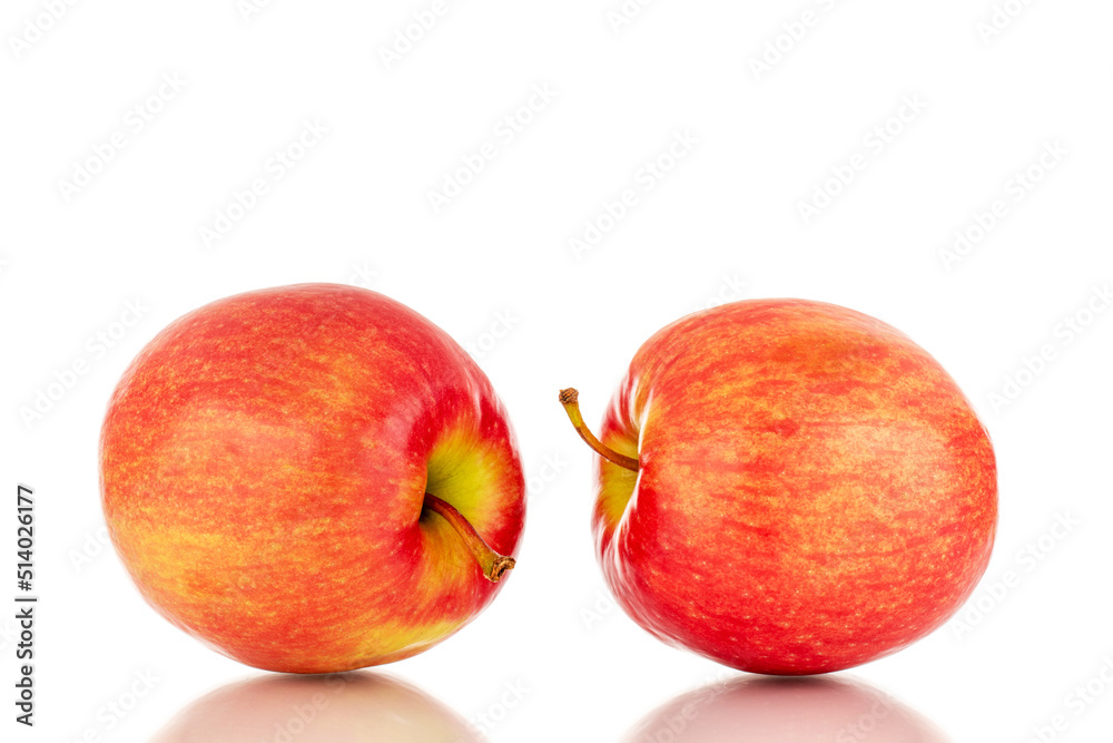 Two juicy red apples, close-up, isolated on a white background. Two juicy red apples, close-up, isolated on a white background.
