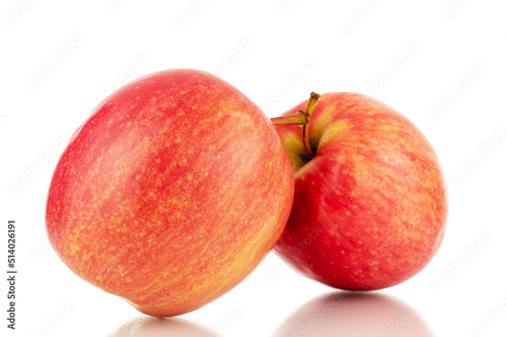 Two juicy red apples, close-up, isolated on a white background. Two juicy red apples, close-up, isolated on a white background.