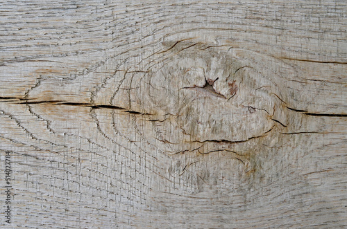 Wood texture. Lining boards wall. Wooden background. pattern. Showing growth rings..