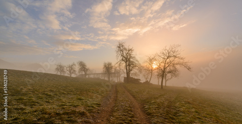 Misty sunrise over the farmlands of Slovenia. Sunlight is penetrating the trees and bushes.