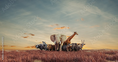 African safari animals.