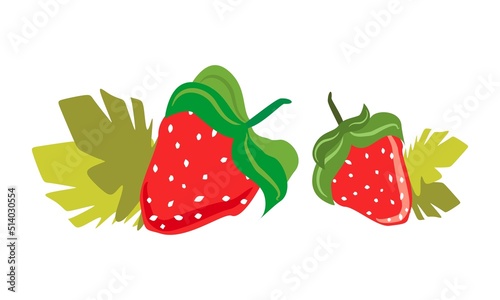 Strawberries with leaves. The berry is sweet. Isolated on a white background.