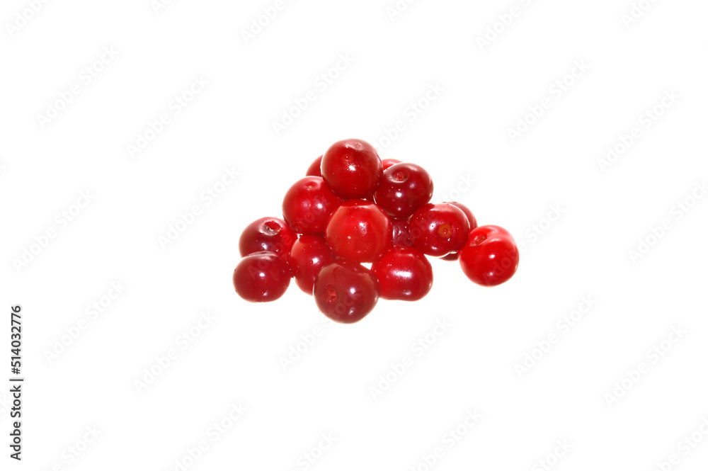 summer fruit isolated on white background summer fruit isolated on white background