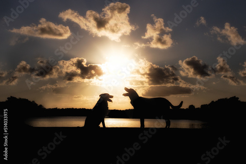 Dogs sitting together at sunset. 