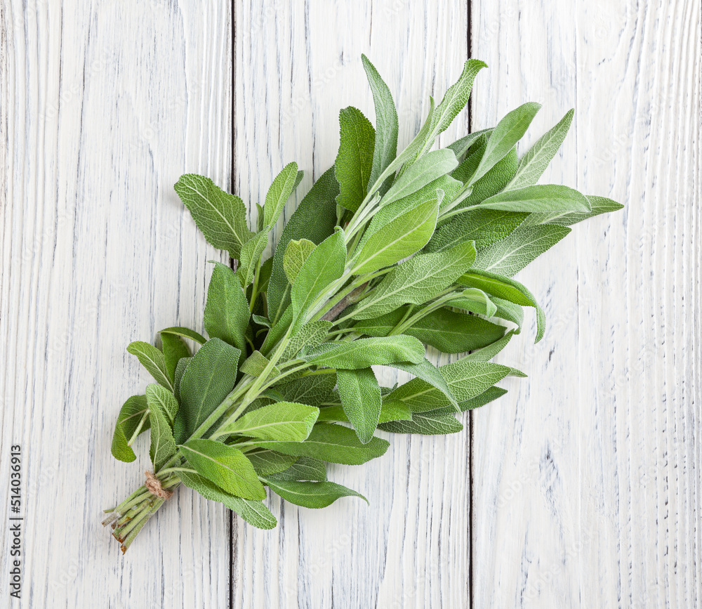 Bunch of fresh sage on white wooden background