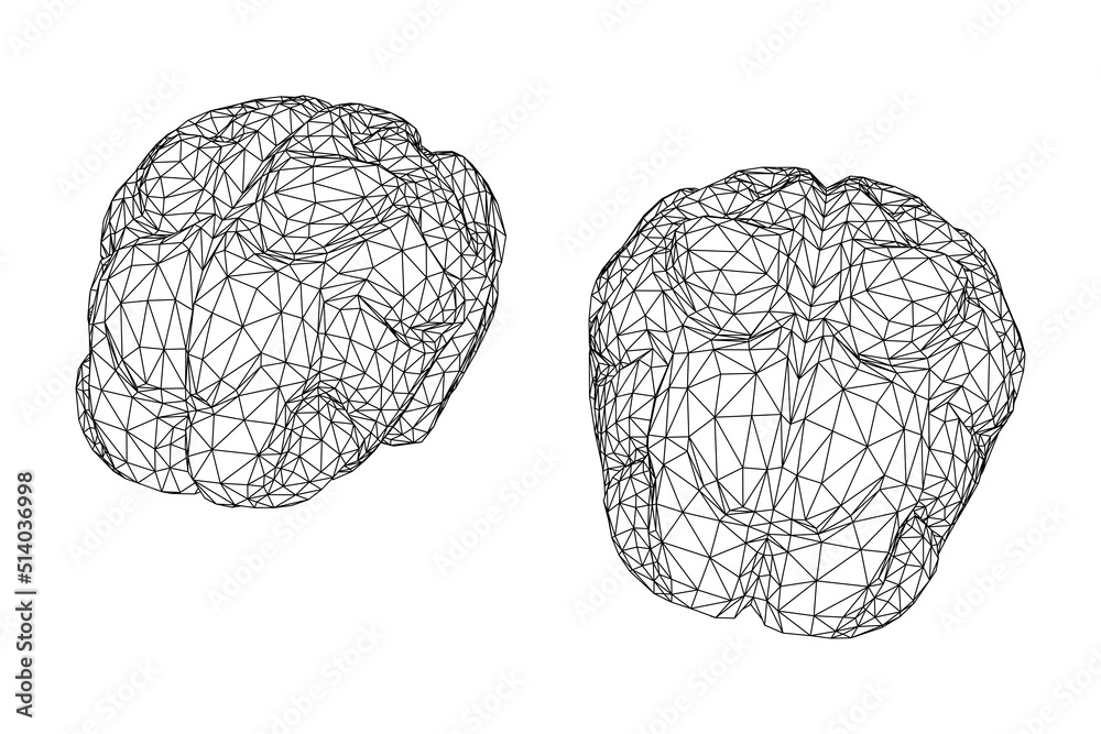 Brain. Low poly abstract digital human brain. Wireframe illustration. Brain. Low poly abstract digital human brain. Wireframe illustration.