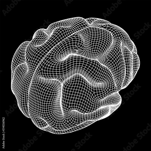 Brain. Low poly abstract digital human brain. Wireframe illustration.