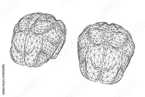 Brain. Low poly abstract digital human brain. Wireframe illustration.