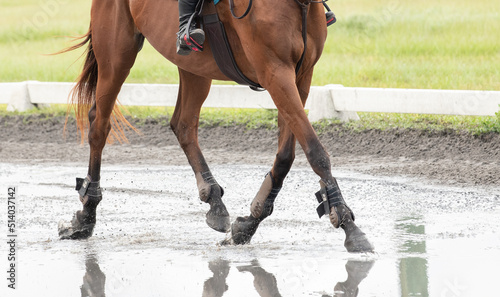 horse and rider splashing through water and mud 