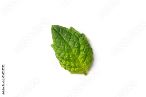 Fresh, green mint leaves on a white background. High quality photo.