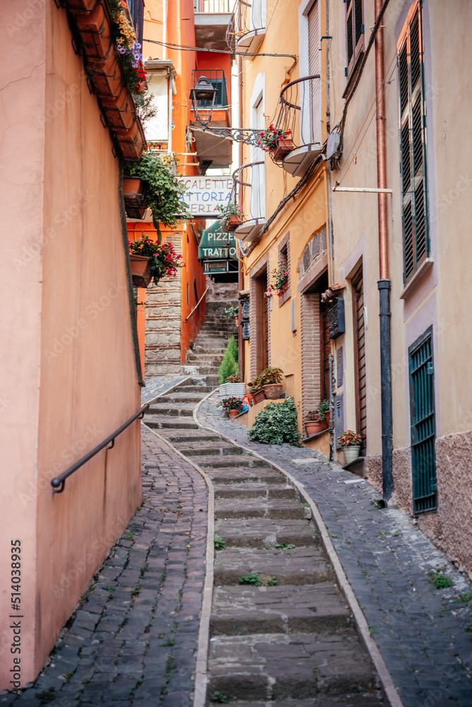 Cozy narrow street in the Nemi city in Italy
