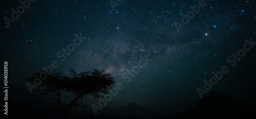 milky way with a tree as the foreground