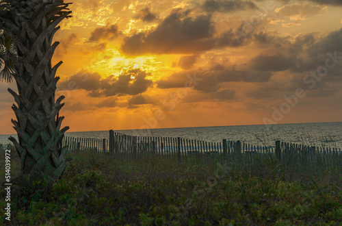 sunset over the field