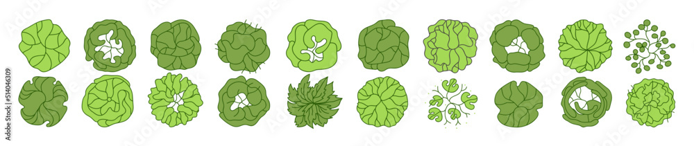Tree for architectural floor plans. Entourage design. Various trees, bushes, and shrubs, top view for the landscape design plan. Vector illustration. Tree for architectural floor plans. Entourage design. Various trees, bushes, and shrubs, top view for the landscape design plan. Vector illustration.