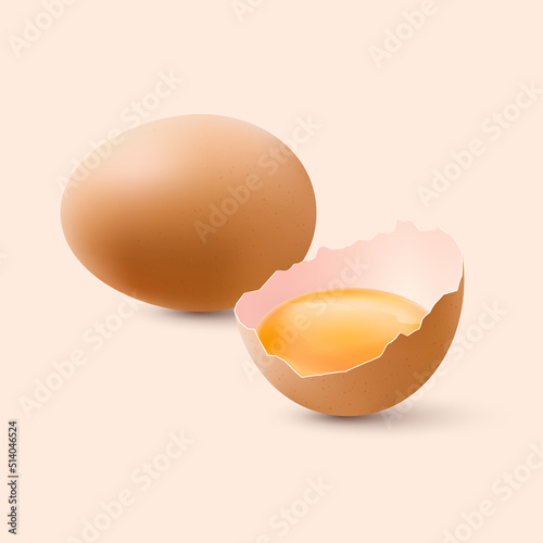 Fresh Organic Chicken Eggs. Raw Brown Chicken Brown Eggs with Yolk