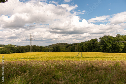 Green energy landscape photo. High-voltage tower in the middle of a yellow German field