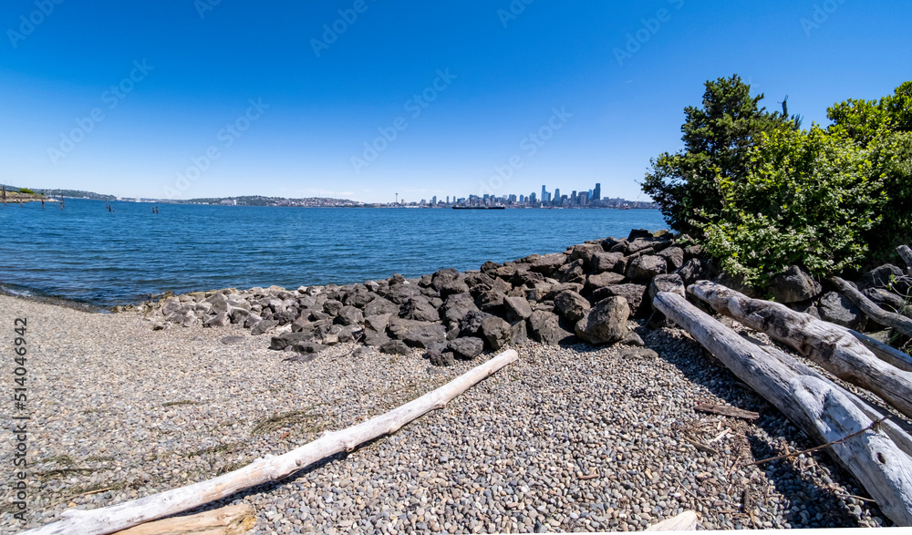 Seattle and public pier viewed from across Elliott Bay
