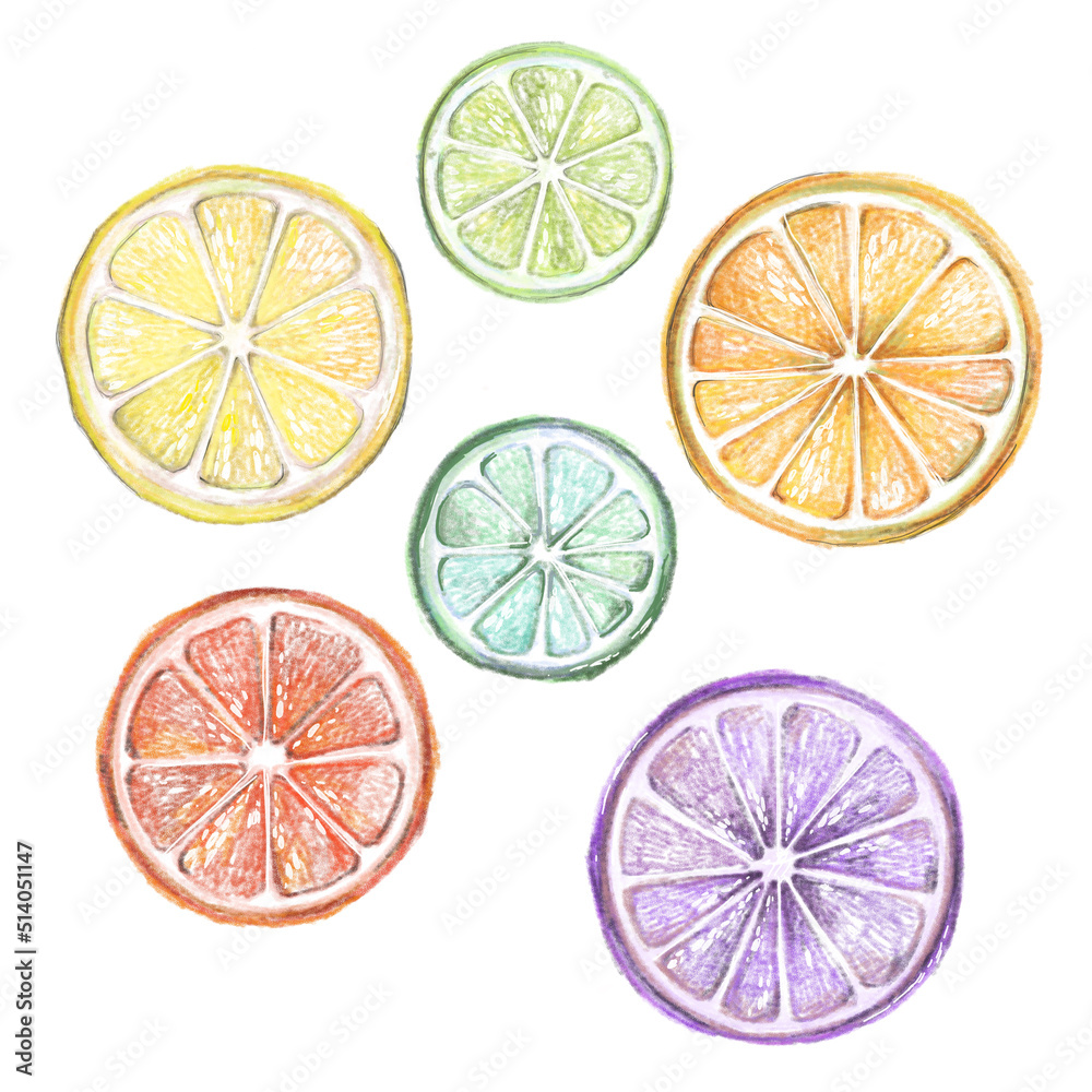 Set of citrus slices of lime, orange, grapefruit and lemon. Textured effect on the skin. The style is hand-drawn and cartoonish. All objects are isolated. Set of citrus slices of lime, orange, grapefruit and lemon. Textured effect on the skin. The style is hand-drawn and cartoonish. All objects are isolated.