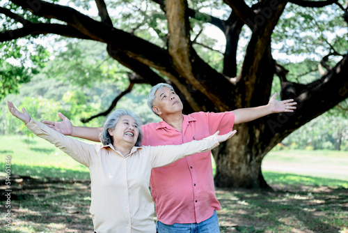 Asian elderly couple Standing under a big tree, they are happy and feel refreshed from clean air, no pollution, to elderly relaxation in the park and refresh concept.